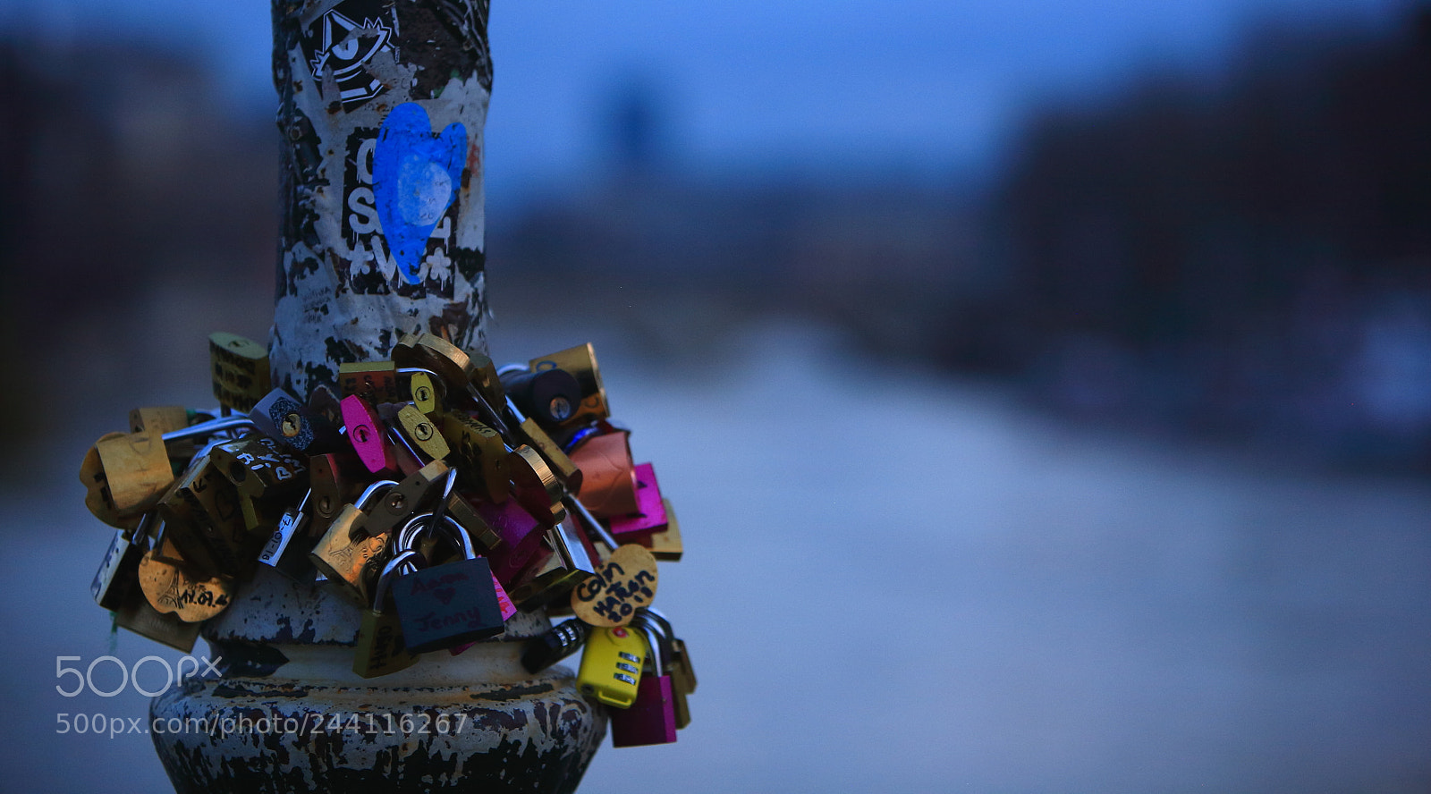 Canon EOS 5D sample photo. Untitled photography
