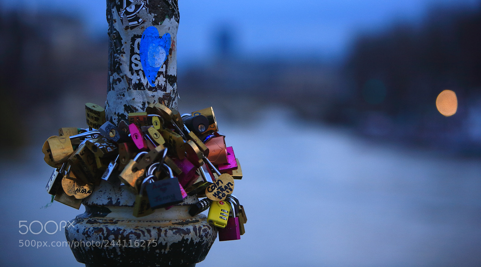 Canon EOS 5D sample photo. Untitled photography