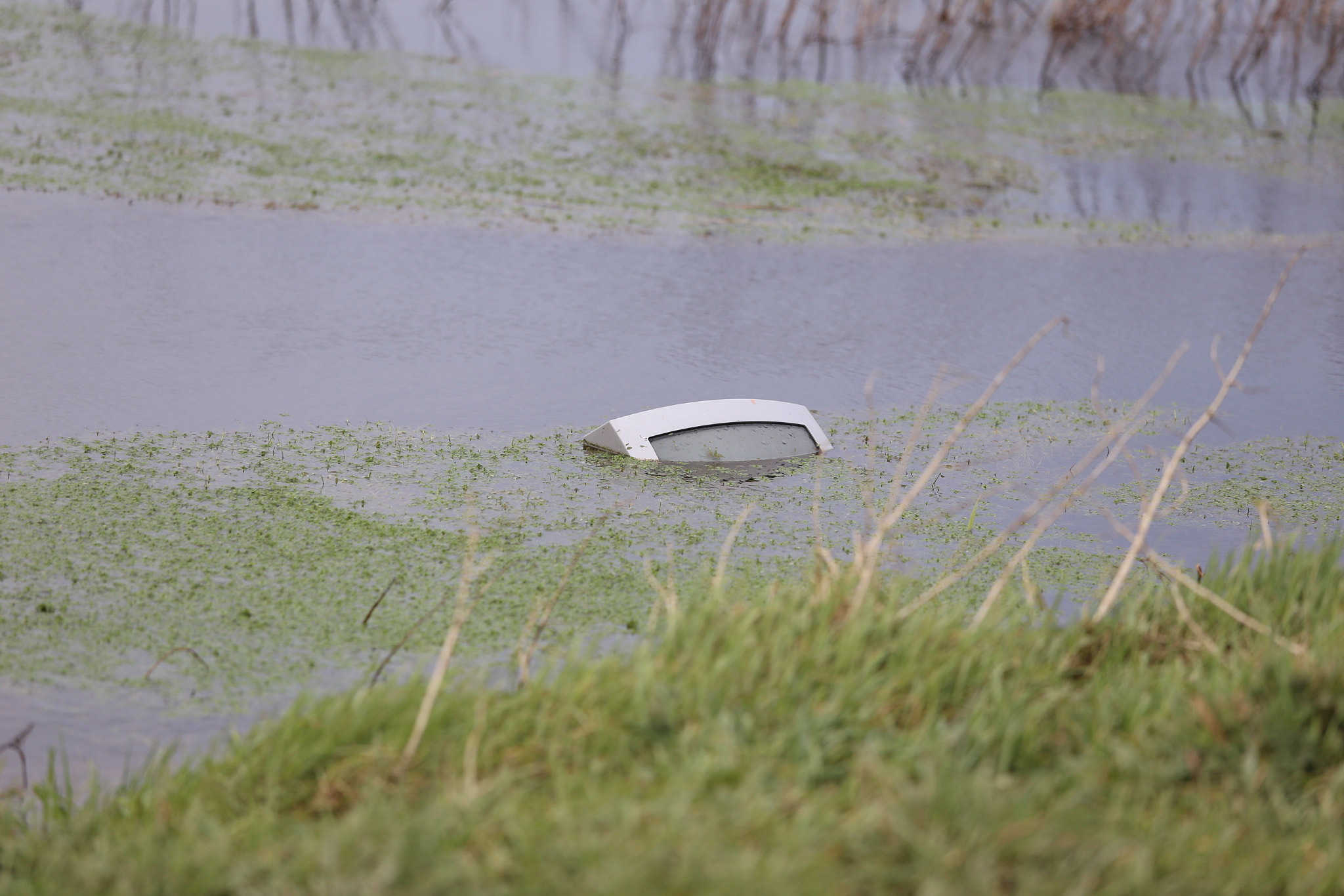 Canon EOS 6D + Canon EF 70-200mm F4L IS USM sample photo. Watching rubbish ,such a pity. photography