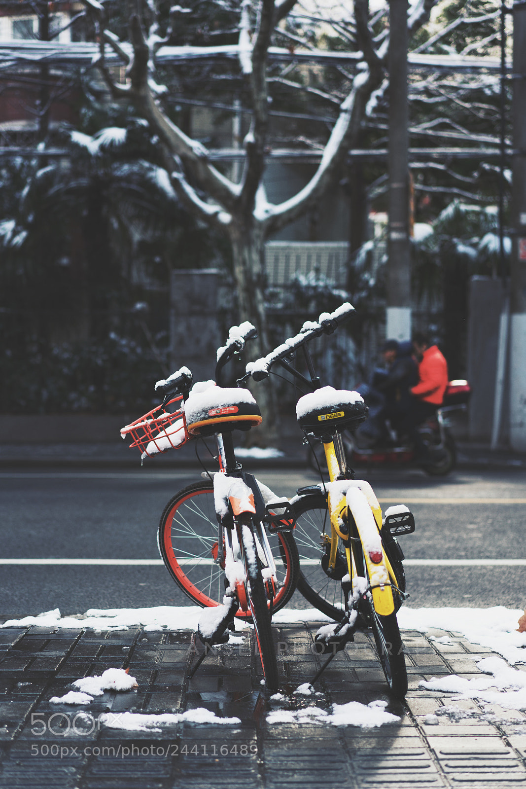 Sony a7R II sample photo. Untitled photography