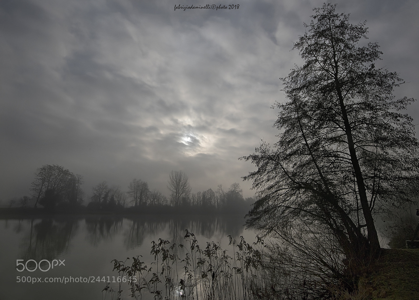 Canon EOS 7D Mark II sample photo. Adda river backlight photography