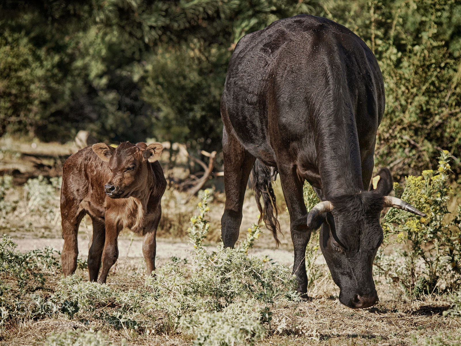 Olympus E-3 sample photo. Madre e hija photography