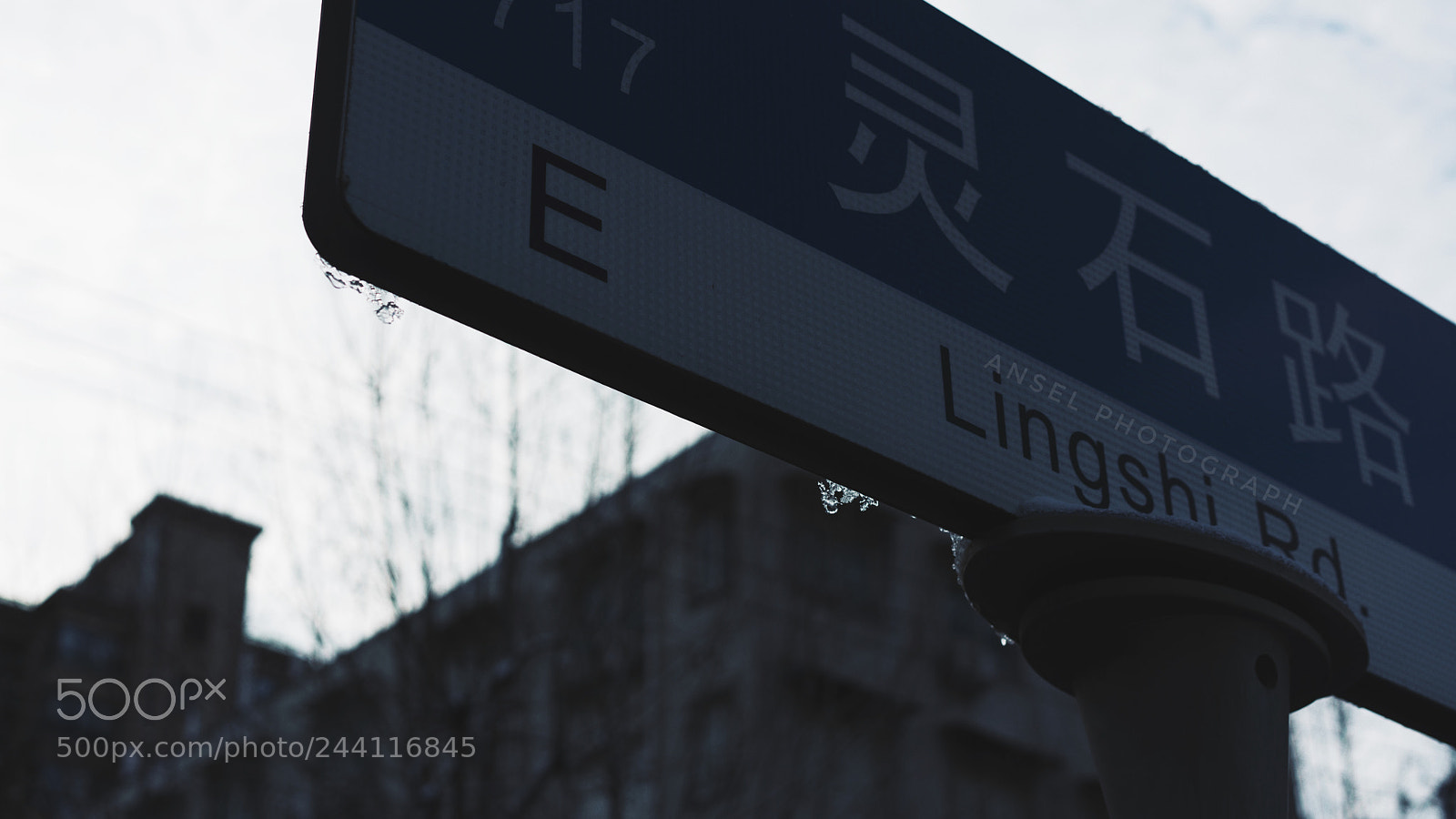 Sony a7R II sample photo. Untitled photography