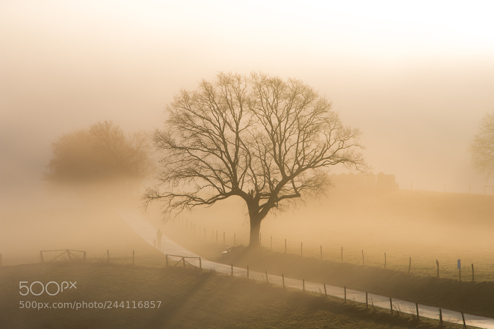 Nikon D7200 sample photo. A beautiful morning in photography