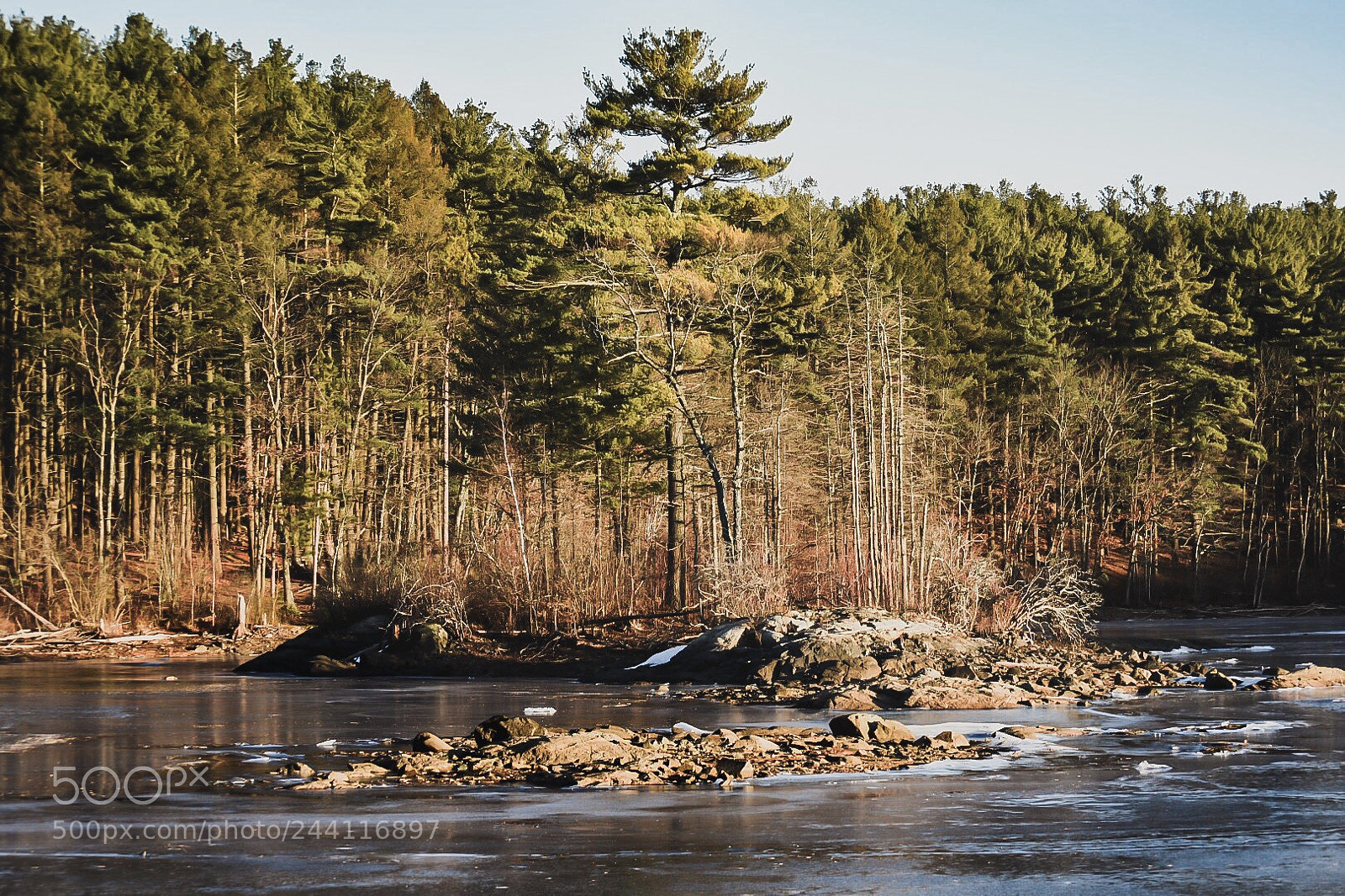Nikon D7200 sample photo. Untitled5 photography