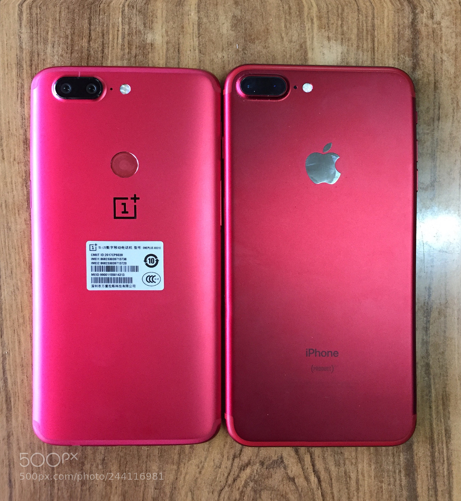 Apple iPhone 6 sample photo. Untitled photography