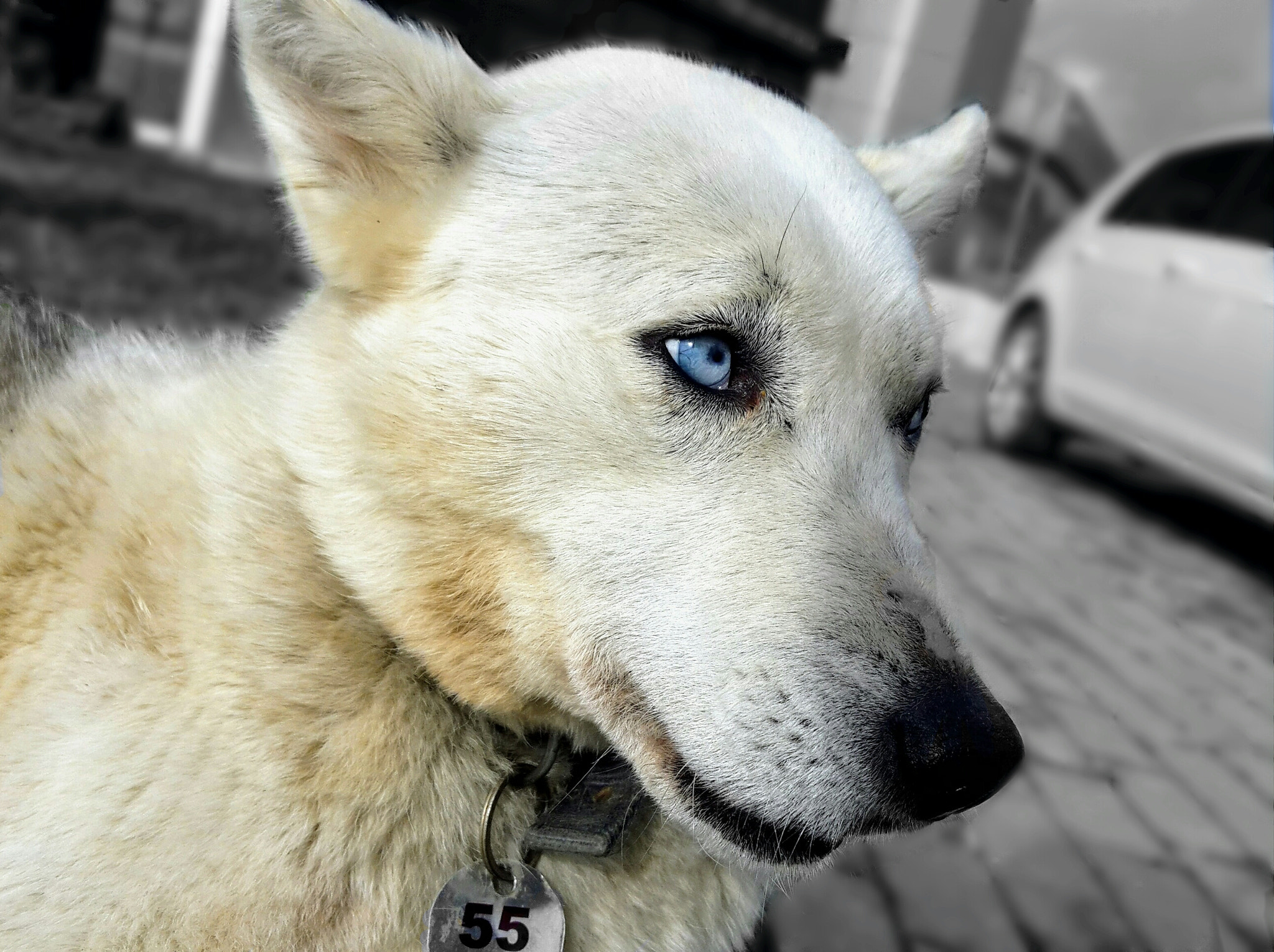 Samsung Galaxy A7 sample photo
