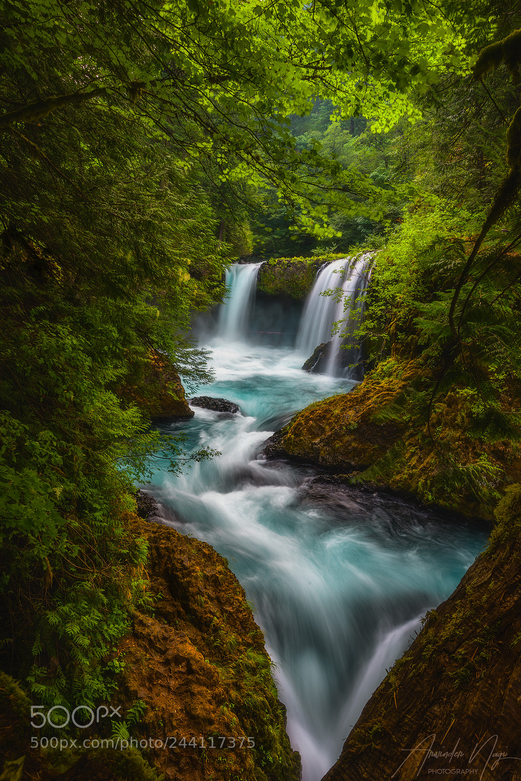 Nikon D810 sample photo. The soulful spirit falls photography