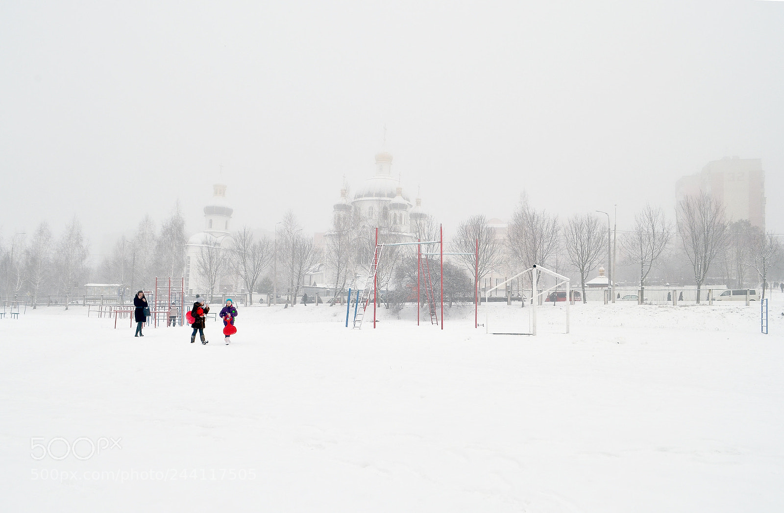 Nikon D5100 sample photo. Winter day photography