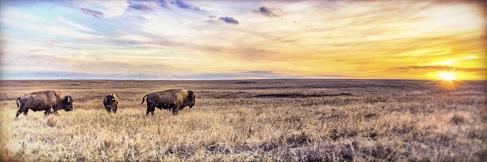 Sony a7 II sample photo. Oklahoma sunset photography