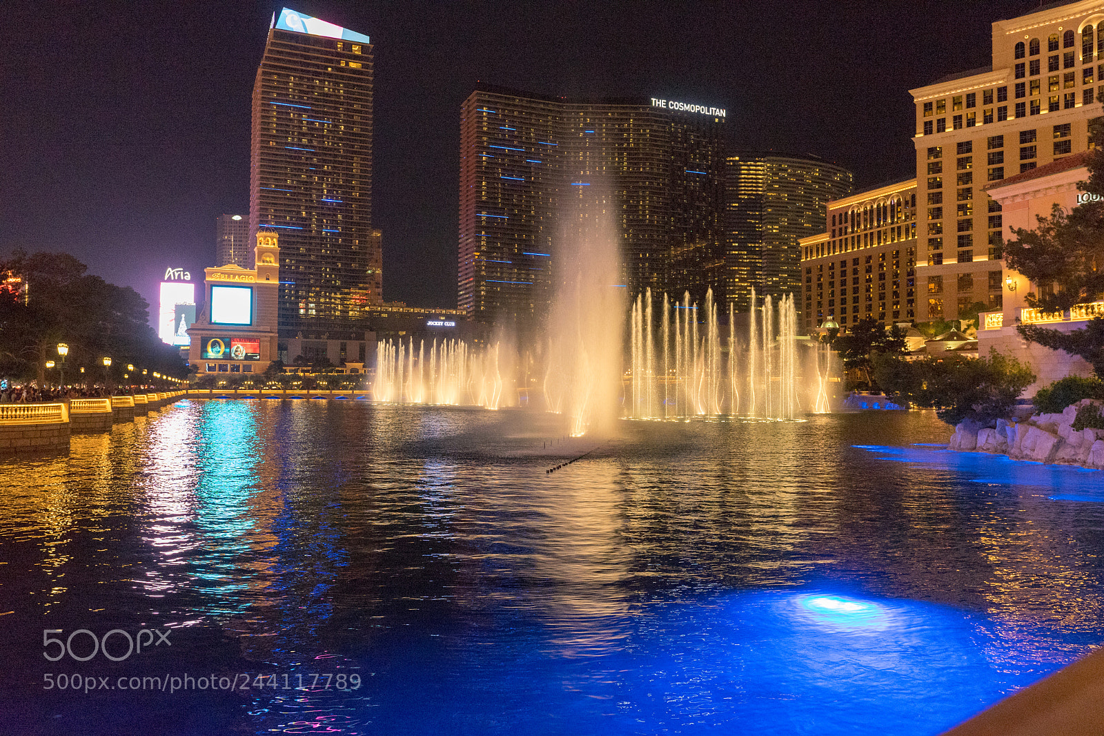 Sony a7 II sample photo. Bellagio fountain photography