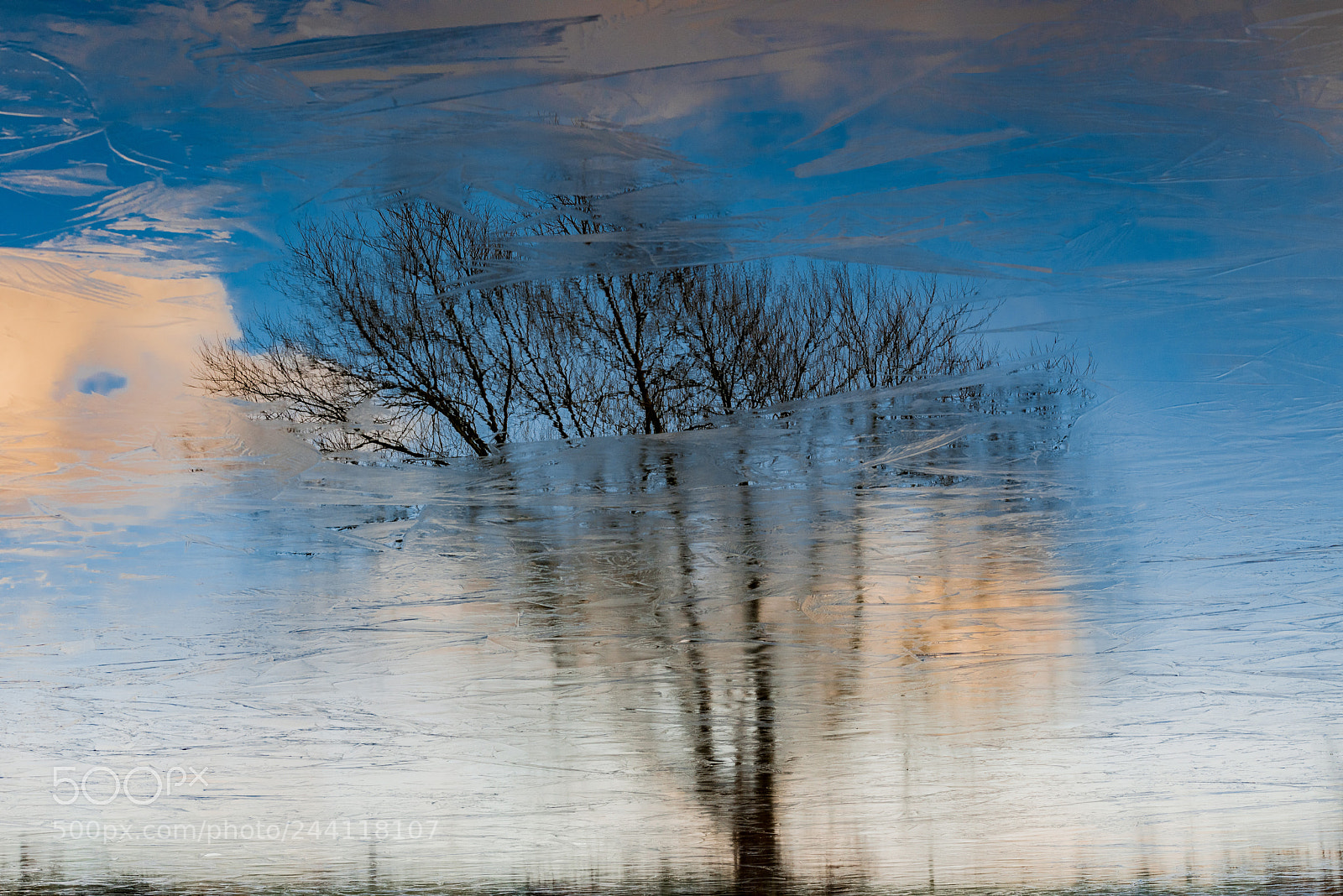 Nikon D810 sample photo. Inverted frozen reflection photography