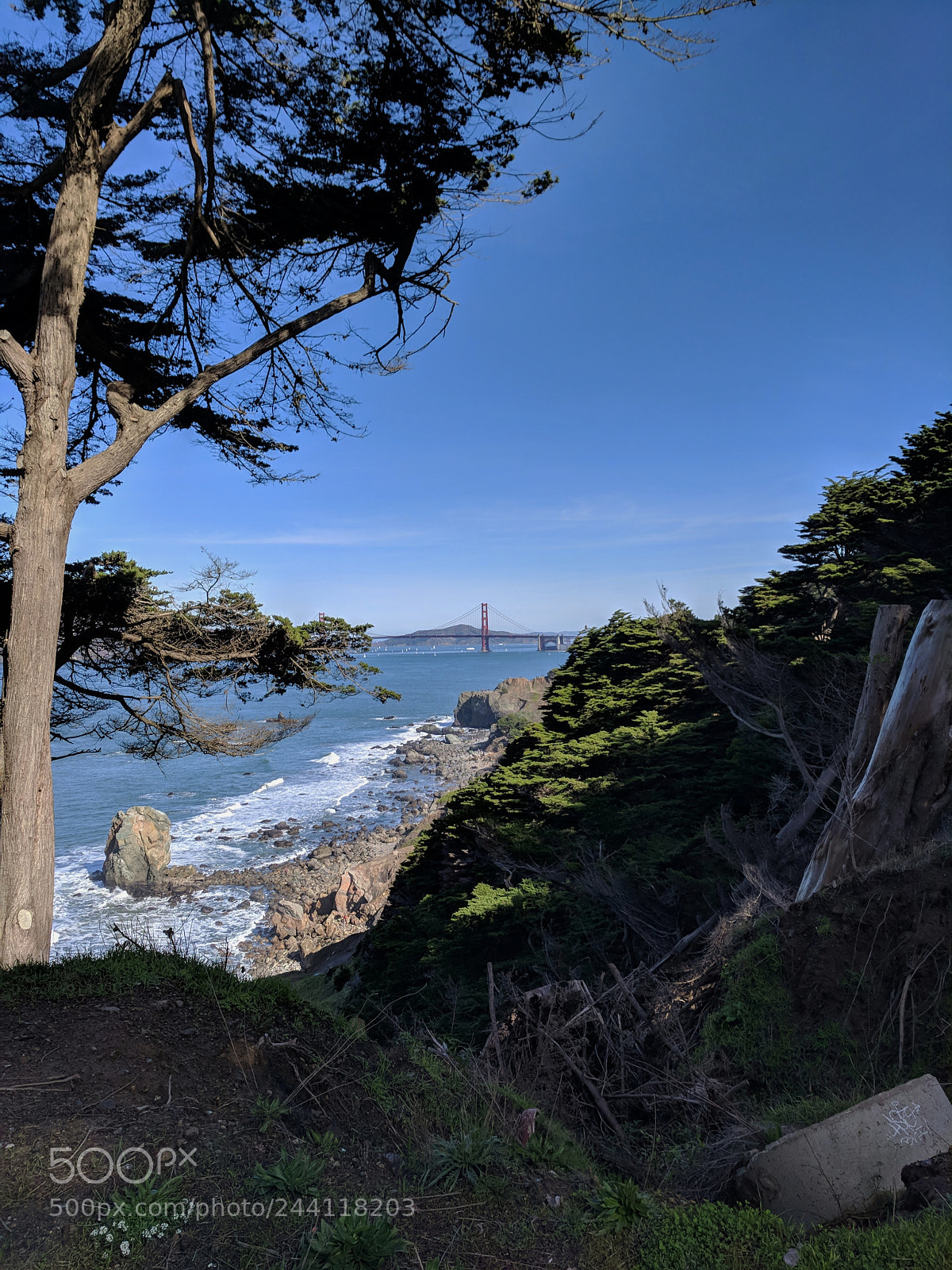 Google Pixel sample photo. Untitled photography