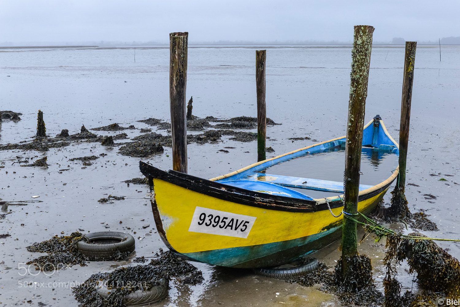 Nikon D610 sample photo. Loaded photography