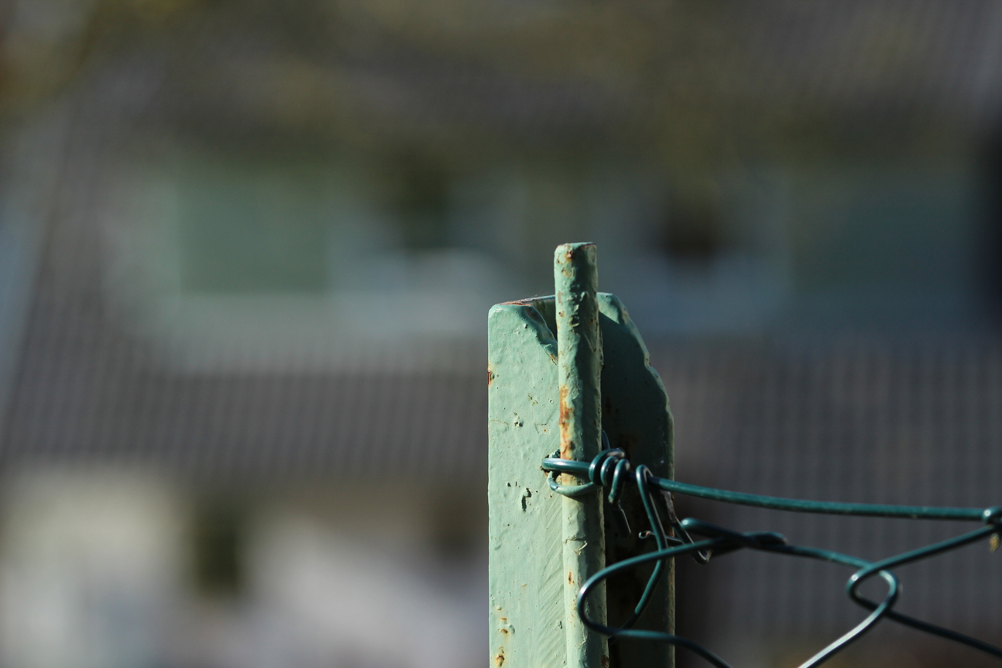 Canon EOS 600D (Rebel EOS T3i / EOS Kiss X5) + Canon EF 70-200mm F4L IS USM sample photo