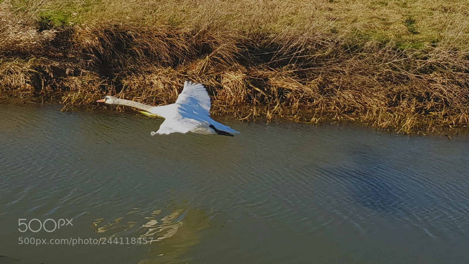 Samsung Galaxy S8+ sample photo. Shadow photography
