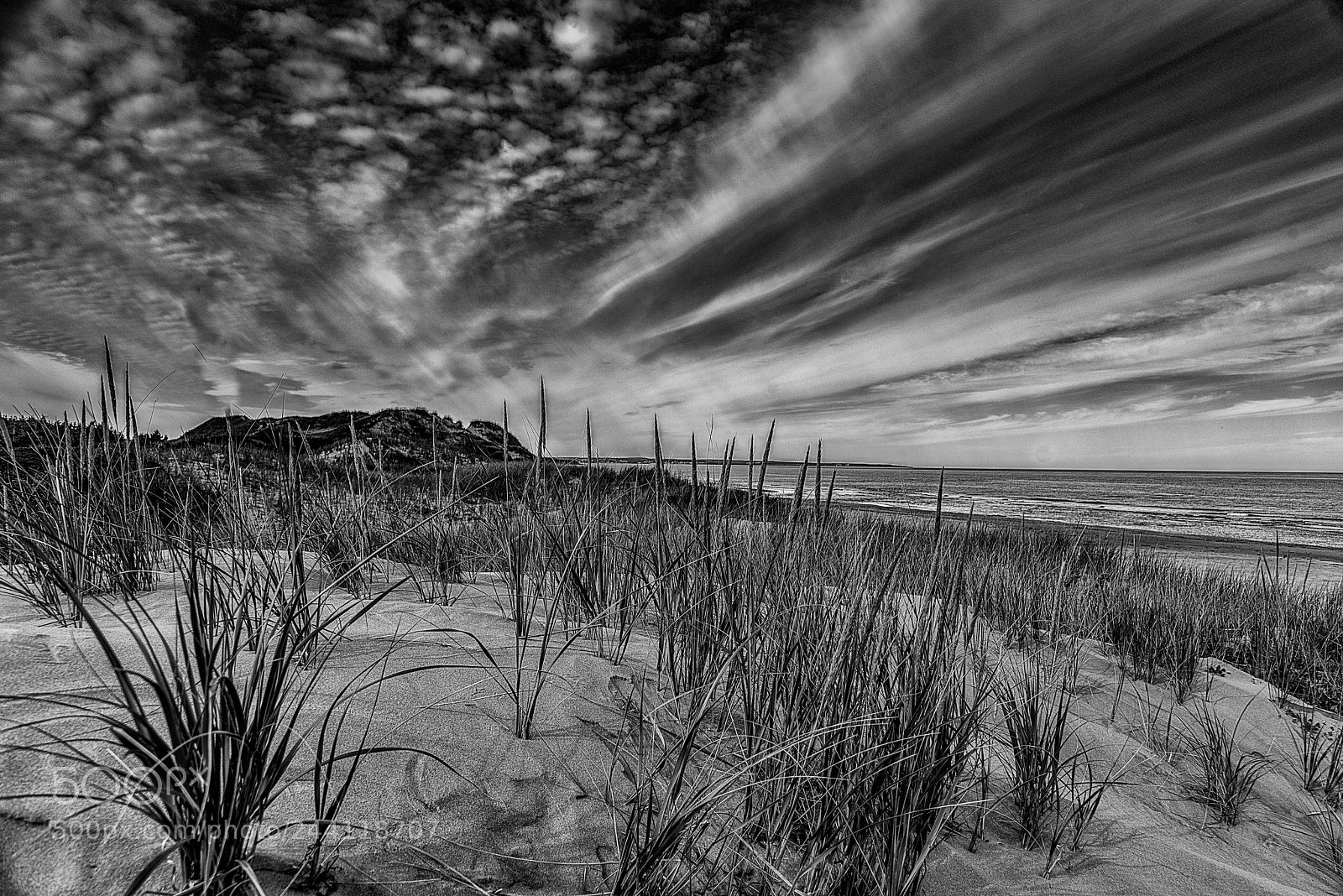 Nikon D800 sample photo. Dunes photography