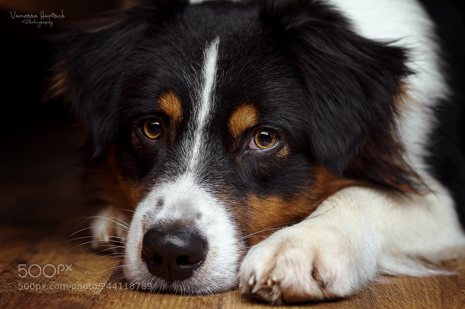 Canon EOS 7D Mark II sample photo. Eska <3 eskimo<3 eskalation<3 photography