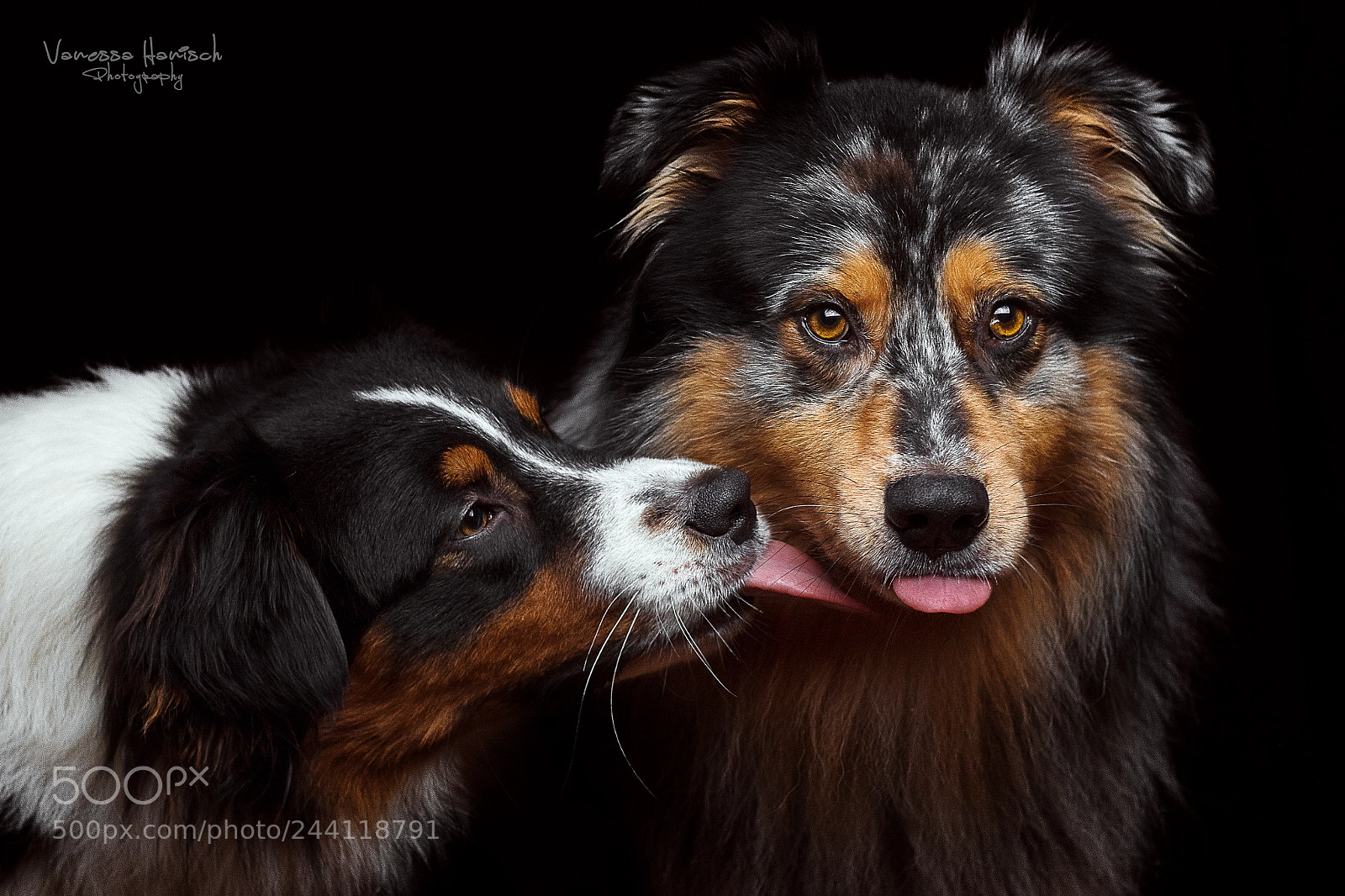Canon EOS 7D Mark II sample photo. Zunge strecken darf man photography