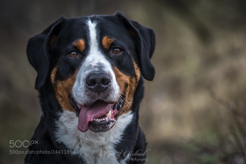 Canon EOS 7D Mark II sample photo. Portrait photography