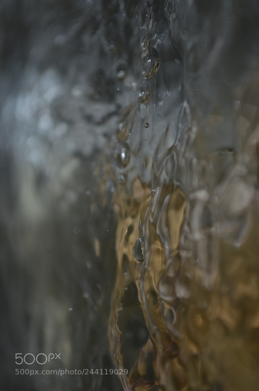 Nikon D5100 sample photo. Liquid gold photography