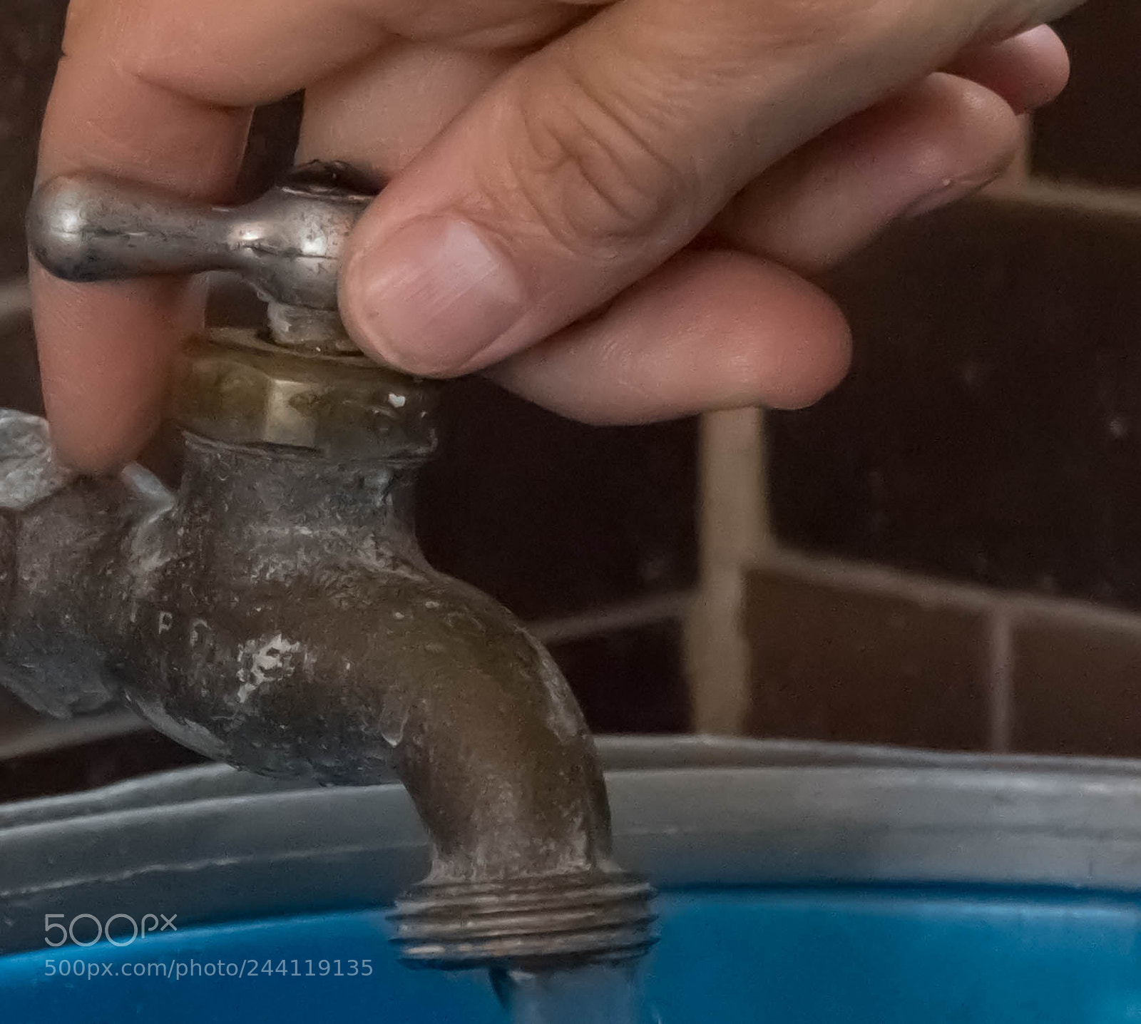 Canon EOS 1300D (EOS Rebel T6 / EOS Kiss X80) sample photo. The hand or the photography