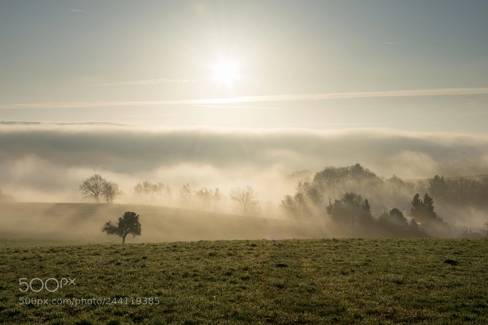 Nikon D7200 sample photo. A beautiful morning photography