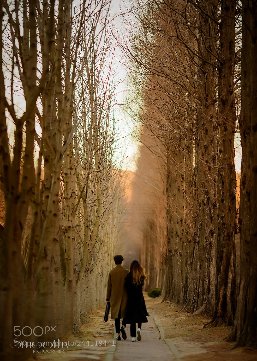 Canon EOS-1D X Mark II sample photo. Couple .. photography
