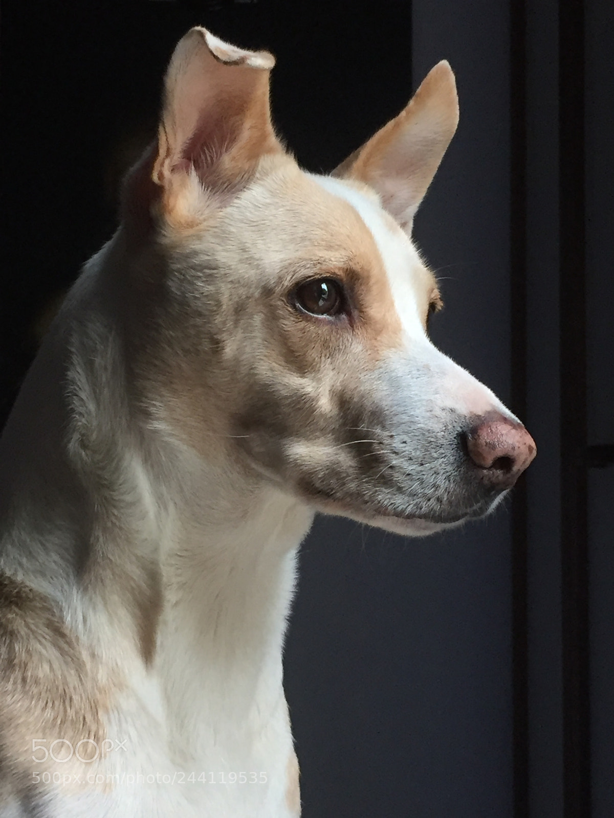 Apple iPhone 6 sample photo. A la espera de photography