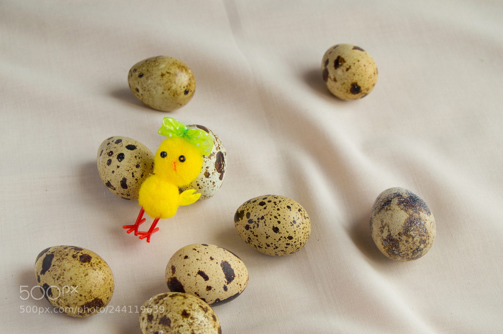 Nikon D3200 sample photo. Quail eggs and a photography