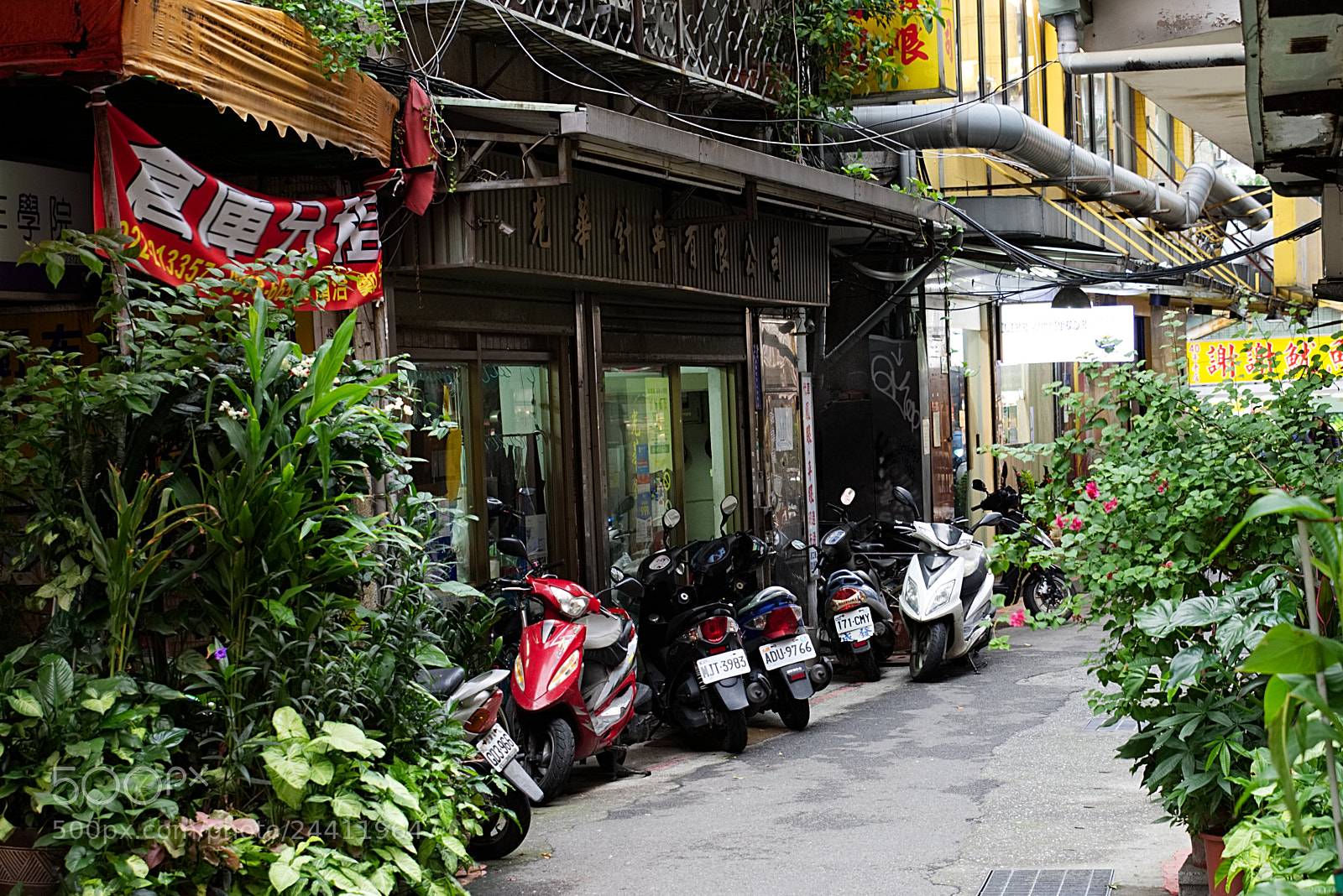 Nikon D7200 sample photo. Shop photography