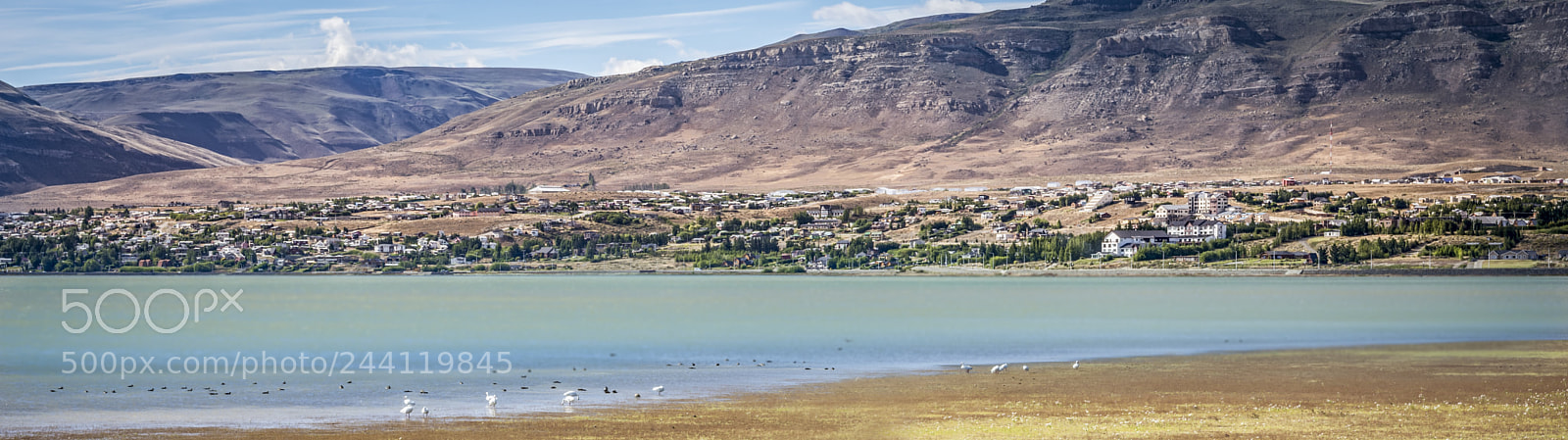Nikon D7200 sample photo. Calafate photography
