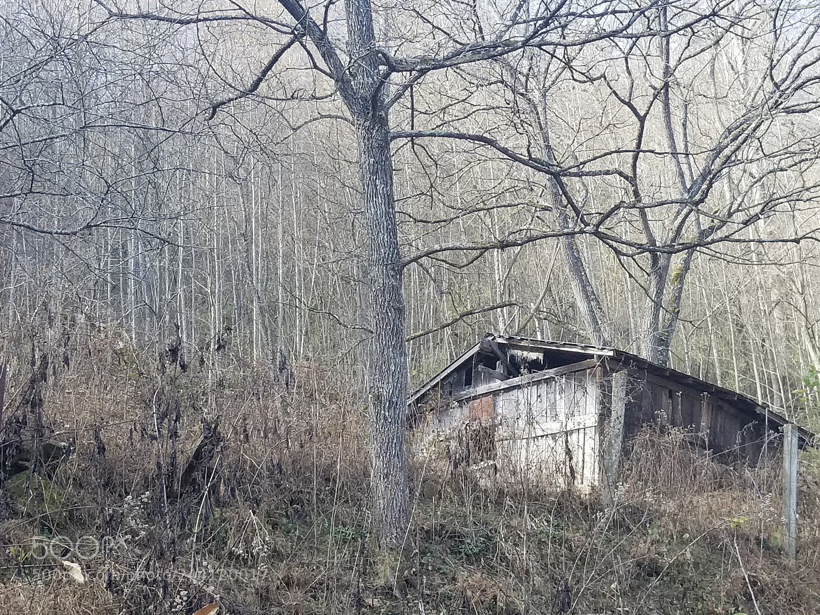 Samsung Galaxy S8 sample photo. Untitled photography