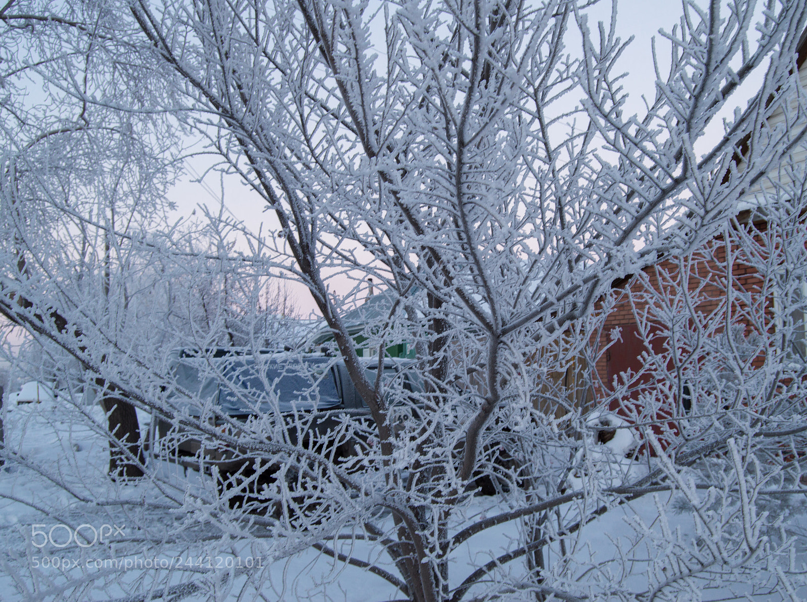 Nikon D3200 sample photo. Closeup of the frost photography