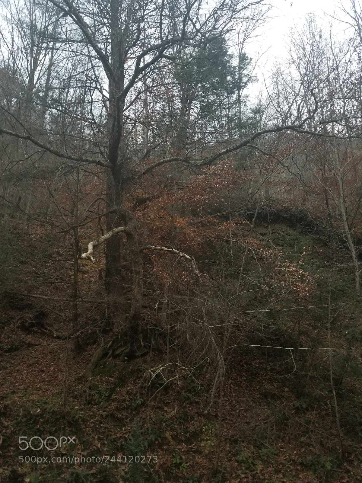 Samsung Galaxy S8 sample photo. Untitled photography