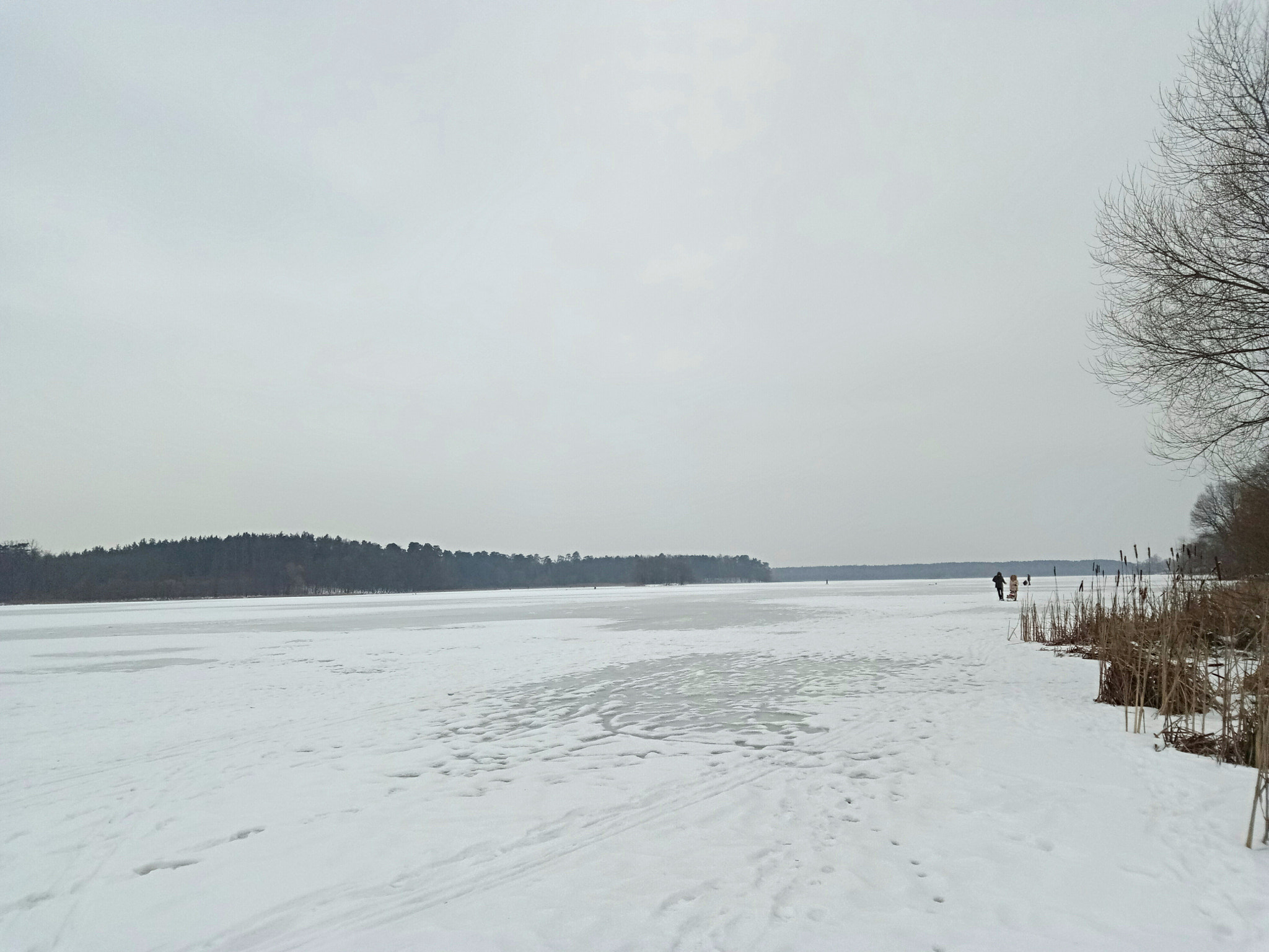 Meizu U20 sample photo. Frozen river photography