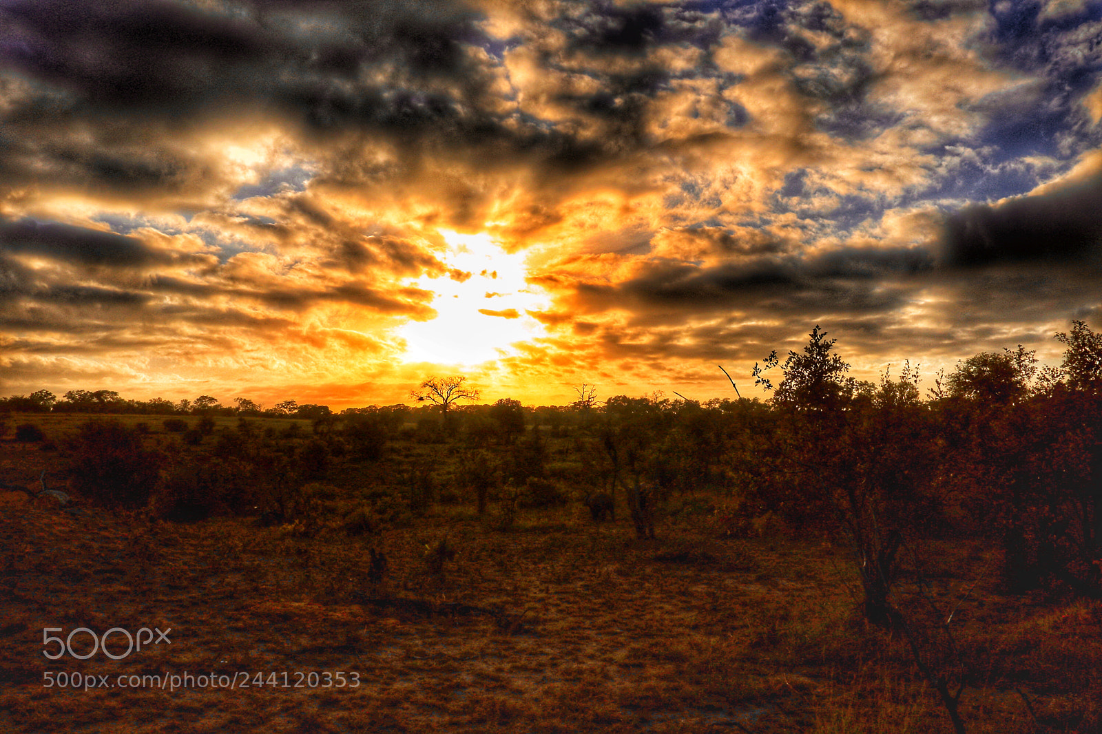 Canon EOS 750D (EOS Rebel T6i / EOS Kiss X8i) sample photo. Safari sunsets photography