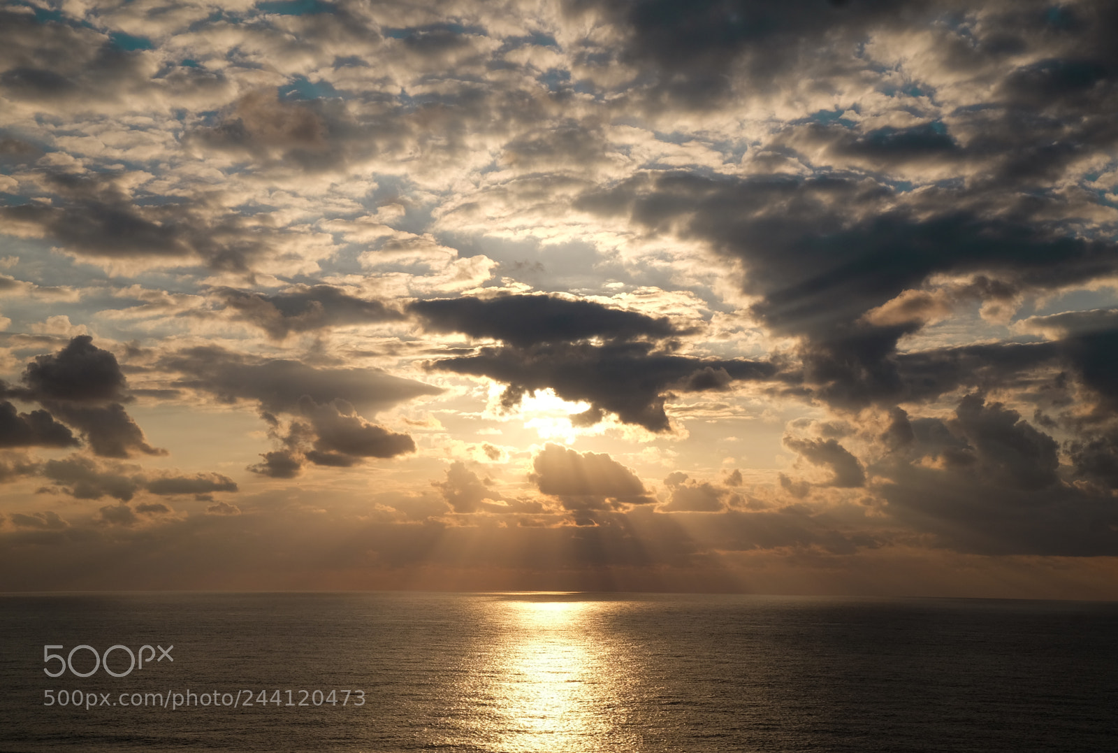 Fujifilm X-T1 sample photo. Shining photography