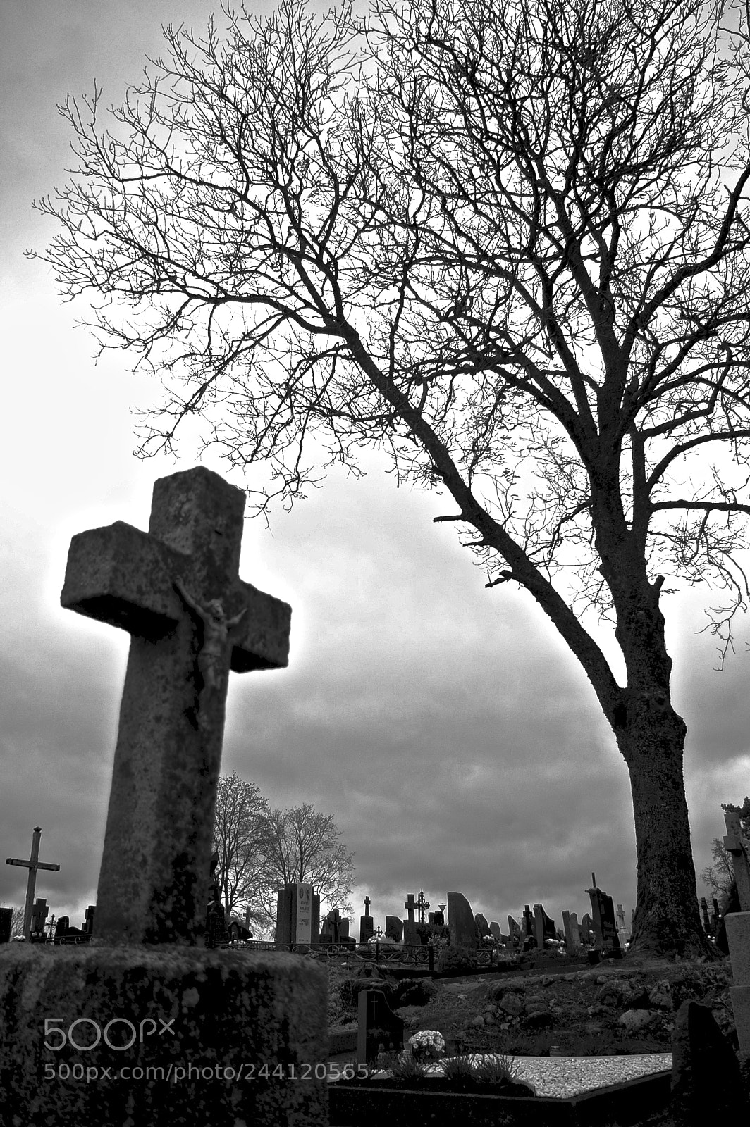 Pentax K100D sample photo. Guarding the fallen photography