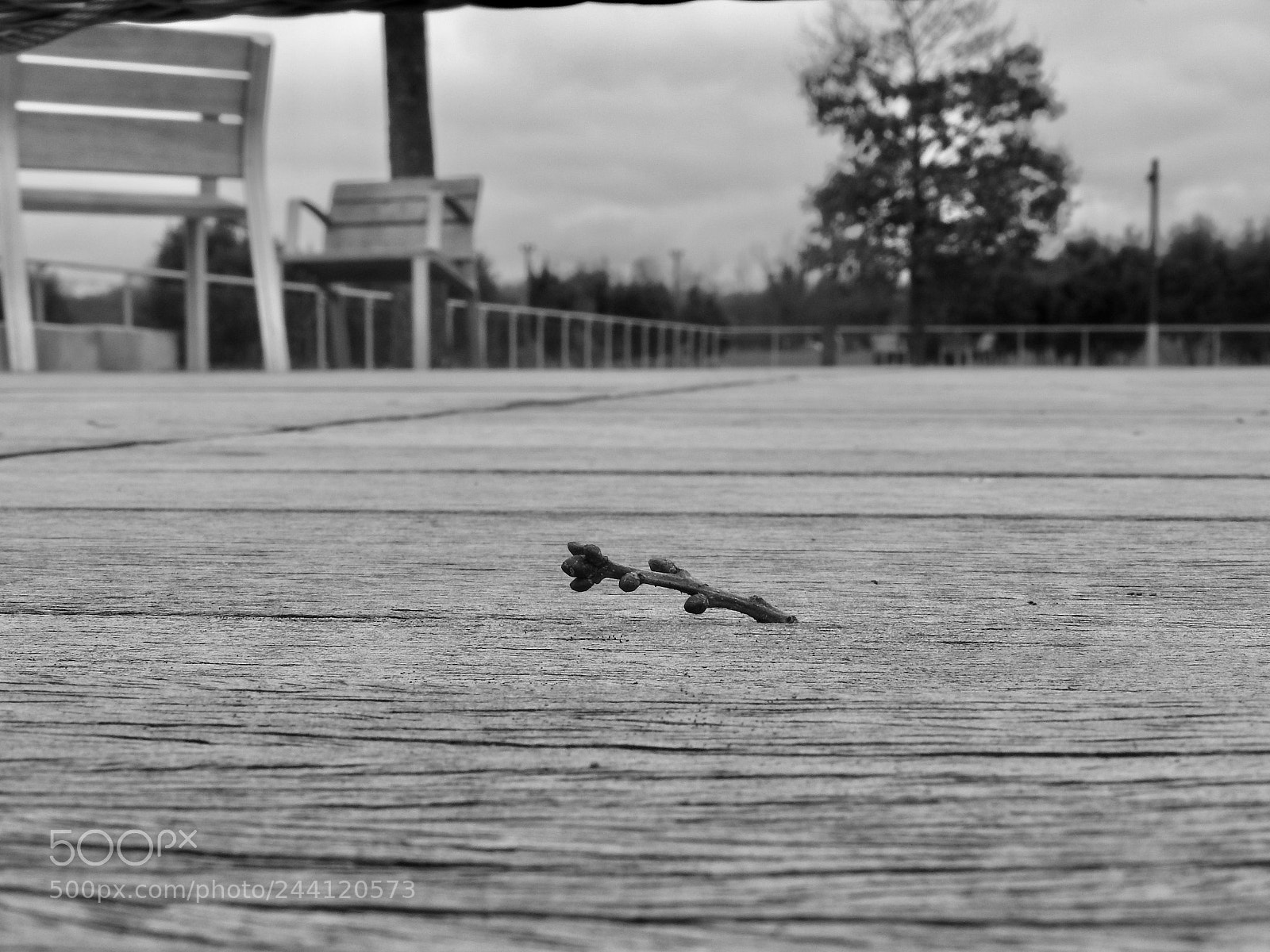 Nikon Coolpix P610 sample photo. Untitled photography