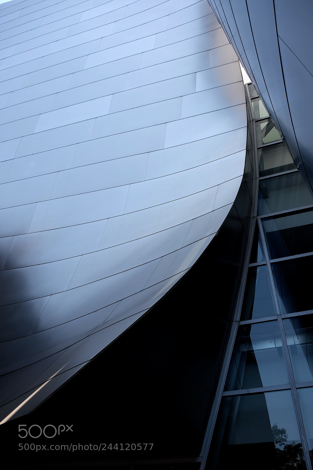 Fujifilm X-T1 sample photo. More curves photography