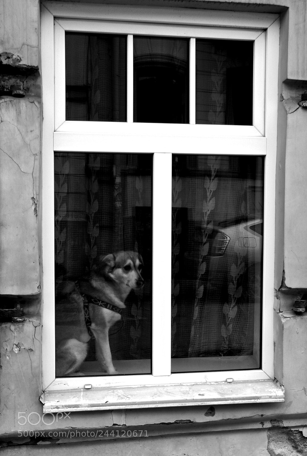 Pentax K100D sample photo. Waiting photography