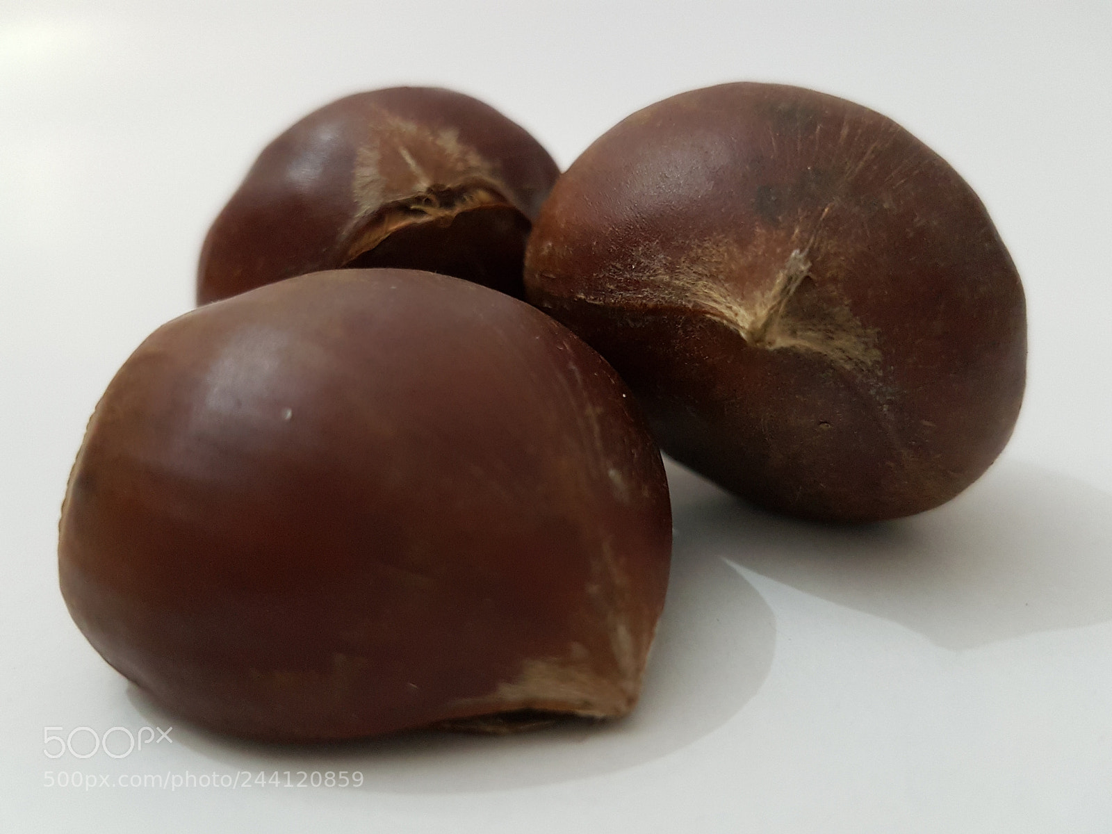 Samsung Galaxy S7 Edge sample photo. Chestnut photography