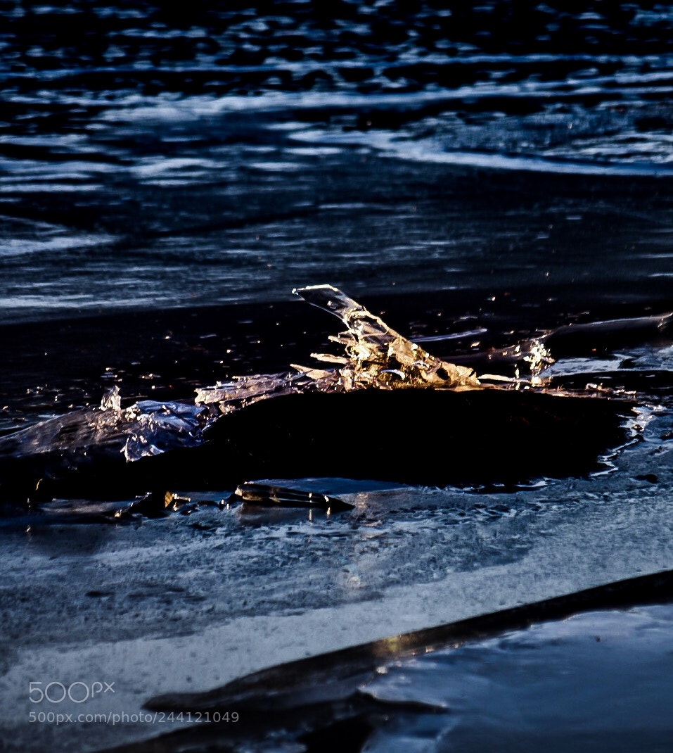 Nikon D7200 sample photo. Icy photography