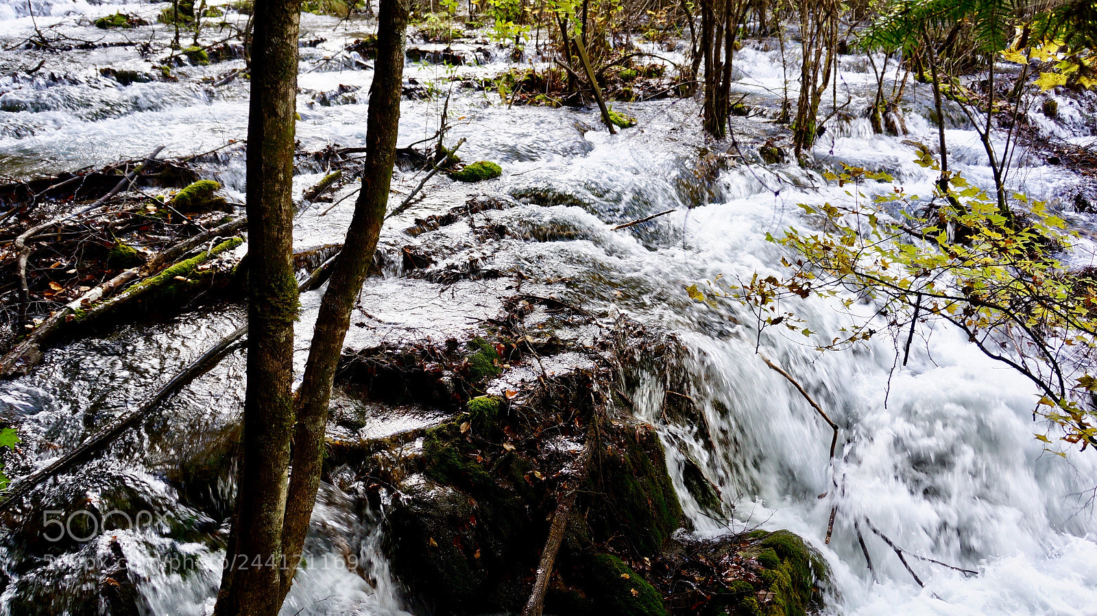 Sony Alpha NEX-5N sample photo. Untitled photography