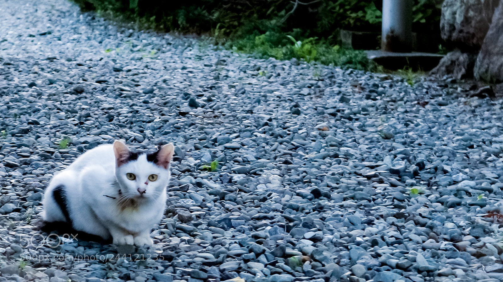Canon EOS M10 sample photo. I came across the photography