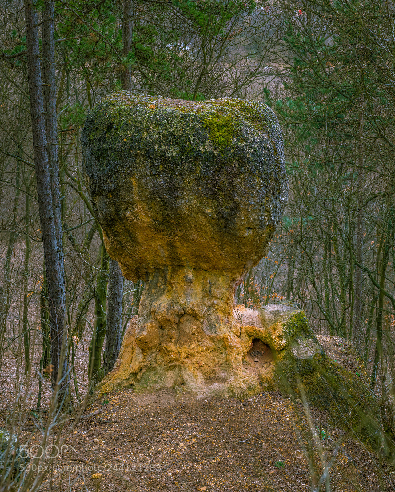 Nikon D850 sample photo. Mushroom rock photography