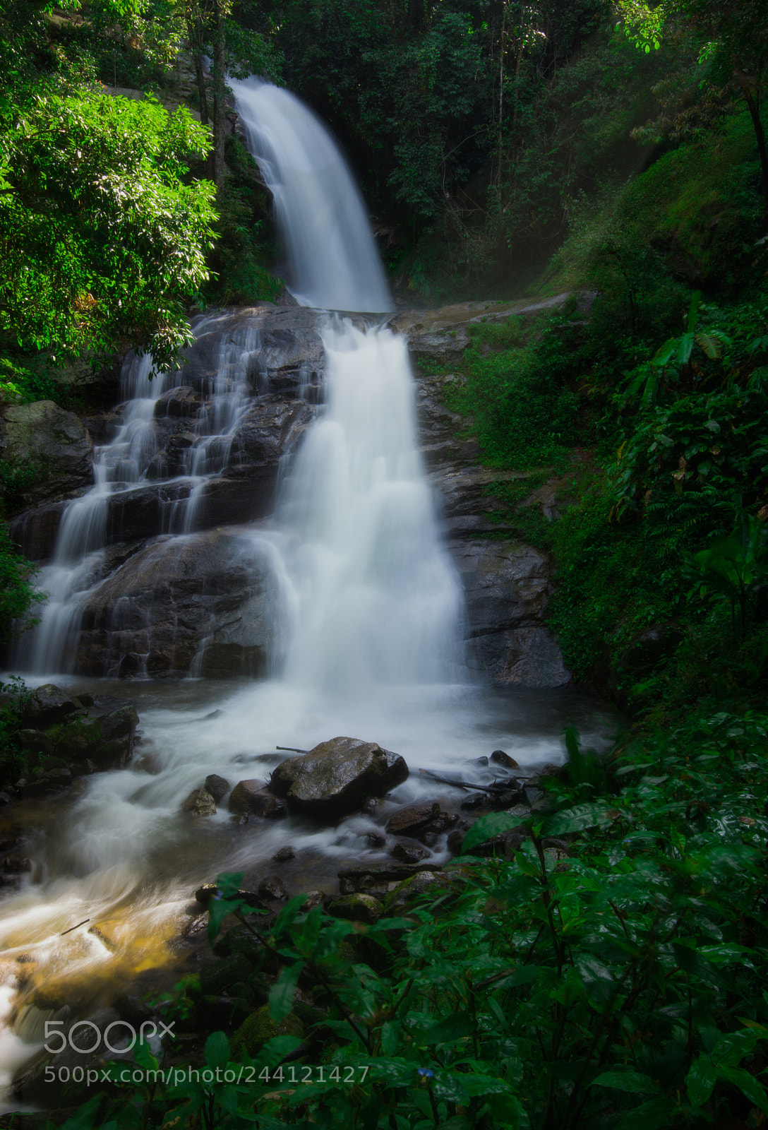 Nikon D600 sample photo. Stream photography