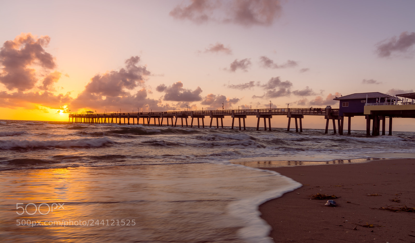 Nikon D7100 sample photo. Dania beach, fl photography