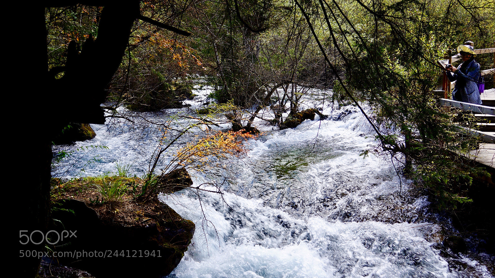 Sony Alpha NEX-5N sample photo. Untitled photography